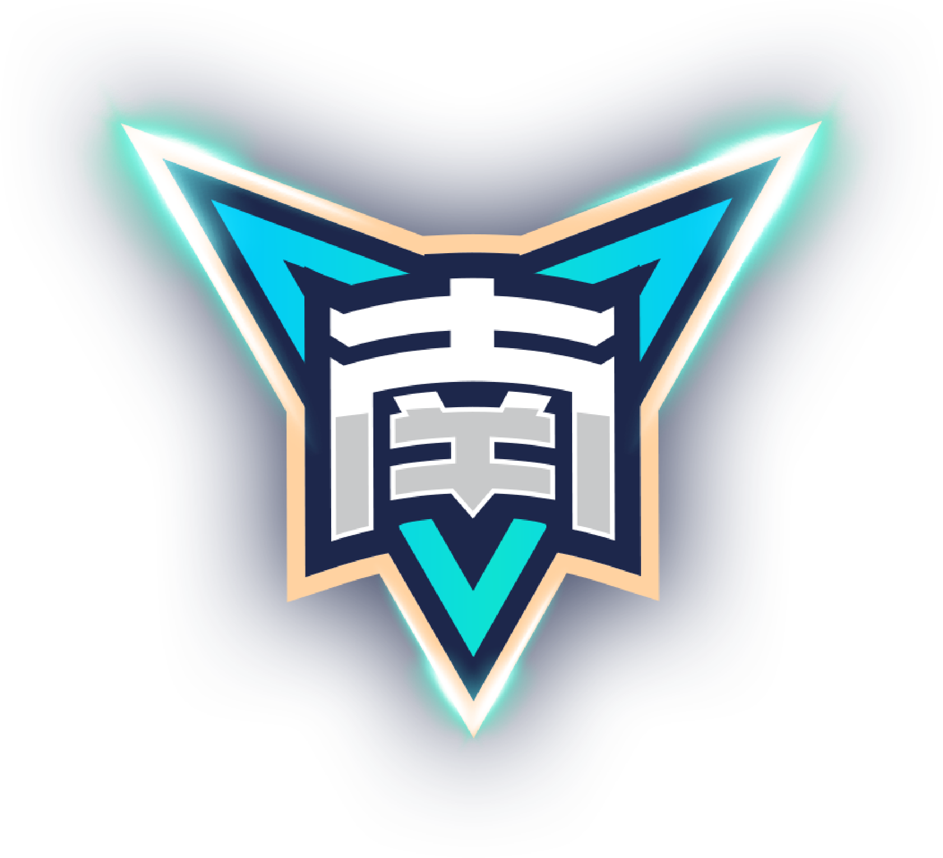 阿斯顿维拉